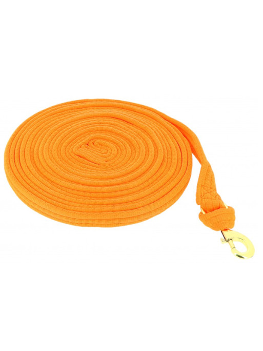 Longe de travail Fluo 8m Norton