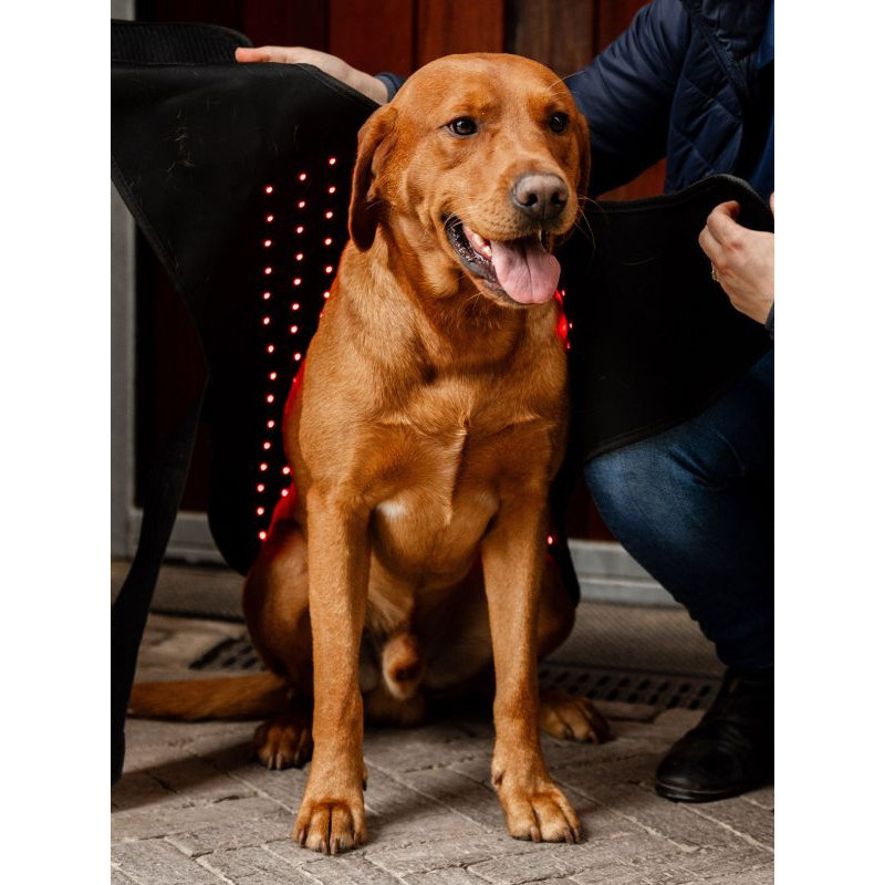 Manteau de thérapie par lumière rouge LED Horseware