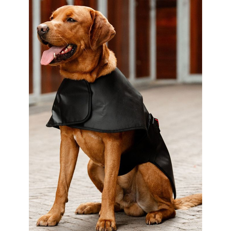 Manteau de thérapie par lumière rouge LED Horseware