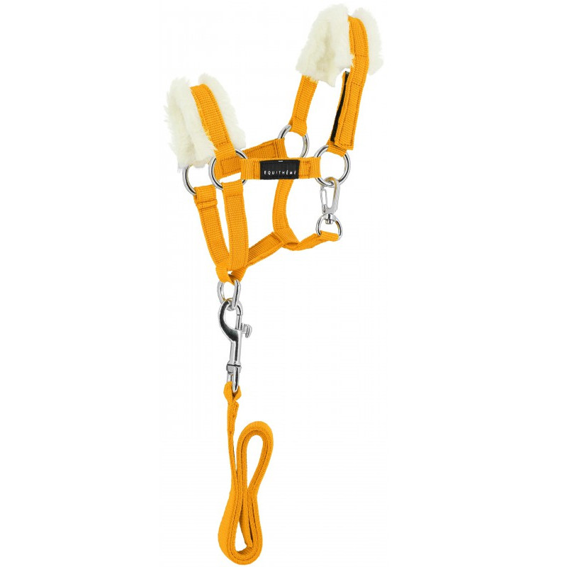 HKM Set Licol Étoilé + Longe Mousqueton – Pony, Shetty, VB, WB – Rembourré Et Argenté