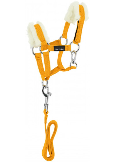 Set mini longe et licol Pony Academy Equi-Thème