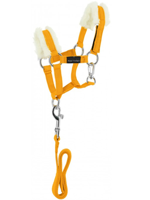 Set mini longe et licol Pony Academy Equi-Thème