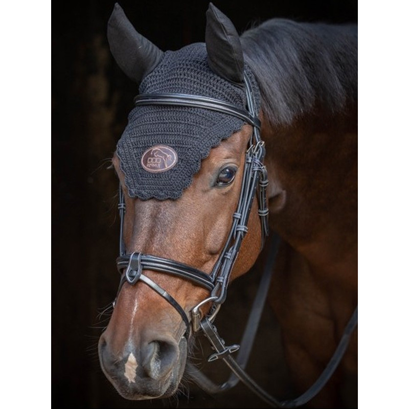 Bridon muserolle combinée Tuesday Collection Week Jump'In