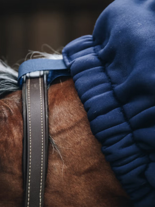 Écharpe polaire Kentucky