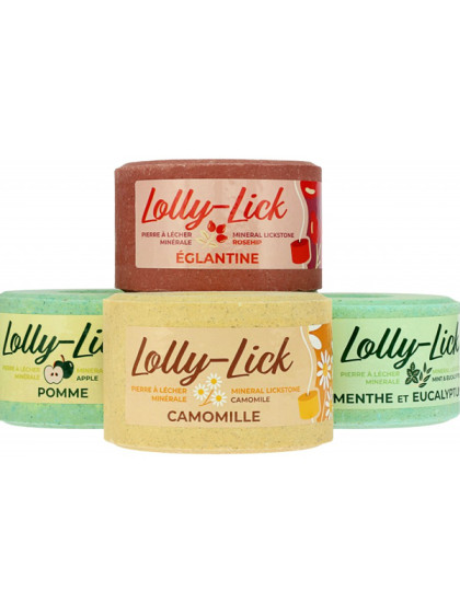 Pierre à sel Lolly-Lick 700g Hippo-Tonic