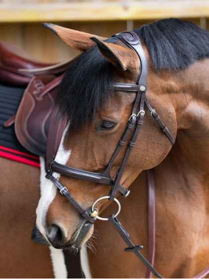 Bridon Evolution muserolle combinée Origin Jump'In