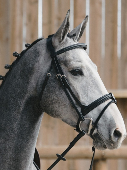 Bridon Evolution muserolle combinée Origin Jump'In