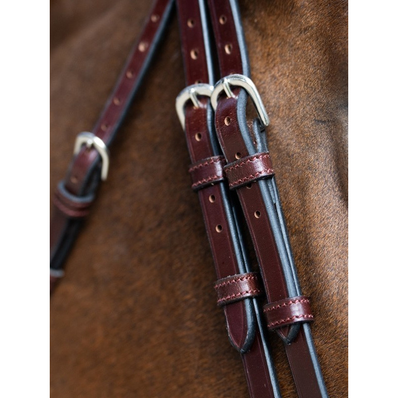 Bridon Evolution muserolle combinée Origin Jump'In