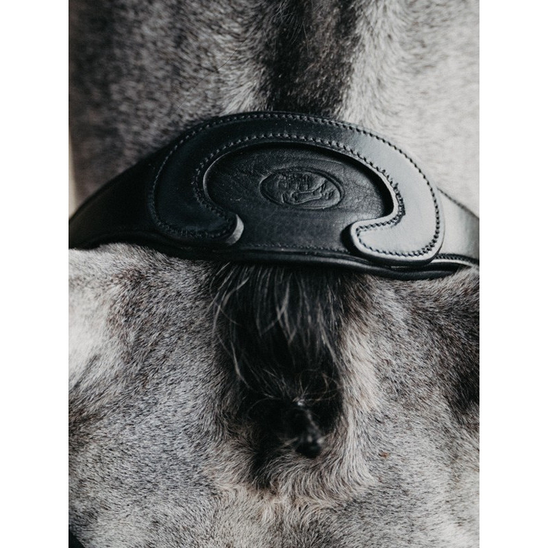 Bridon Evolution muserolle combinée Origin Jump'In