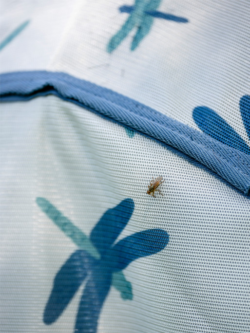 Couverture anti-mouches Intégrale Amigo Fly Sheet Horseware