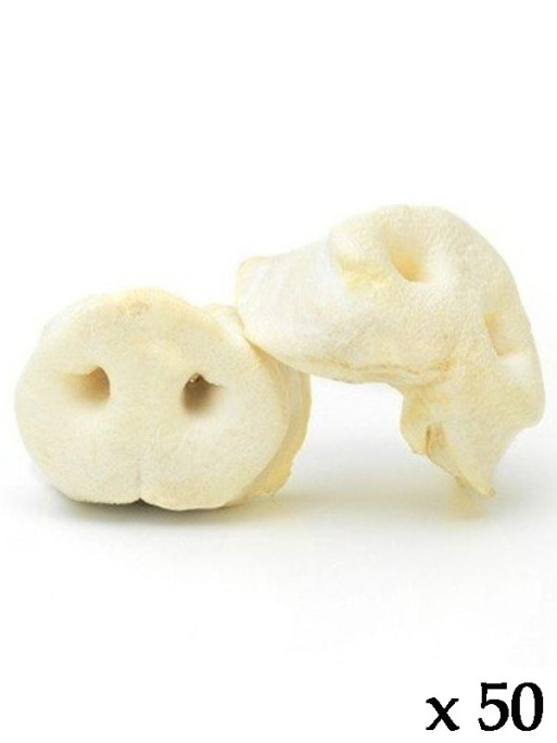 Nez de porc soufflé (lot de 50)
