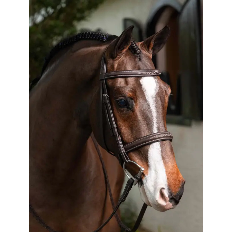 Bridon Hunter surpiqué avec rênes tressées LeMieux