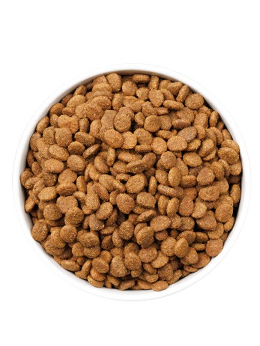 Croquettes Ultra Young Sterilized Chat 3kg Ownat