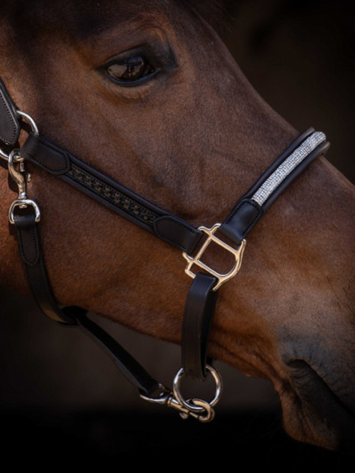 Licol en cuir Harmonie Pénélope