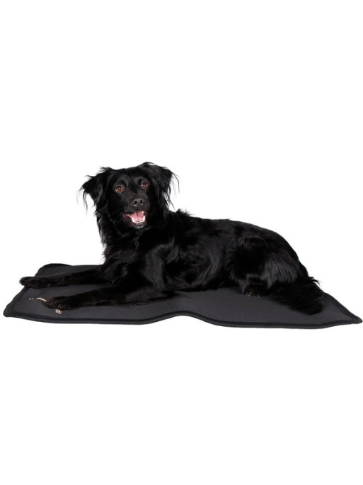 Tapis pour cage Back On Track