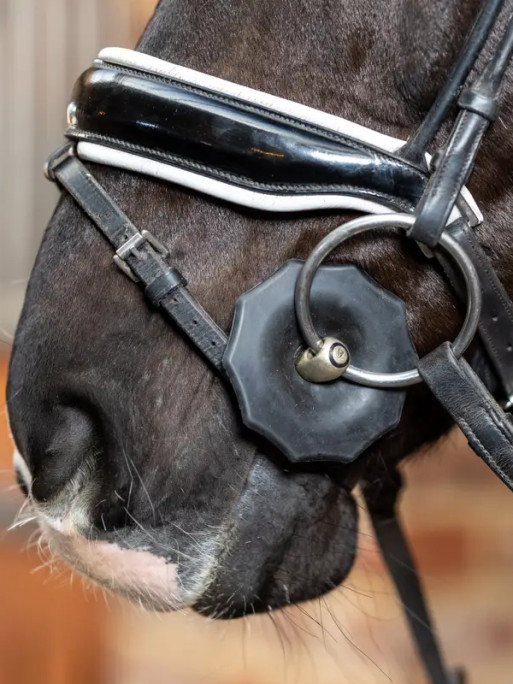 Rondelles en caoutchouc Contoured LeMieux