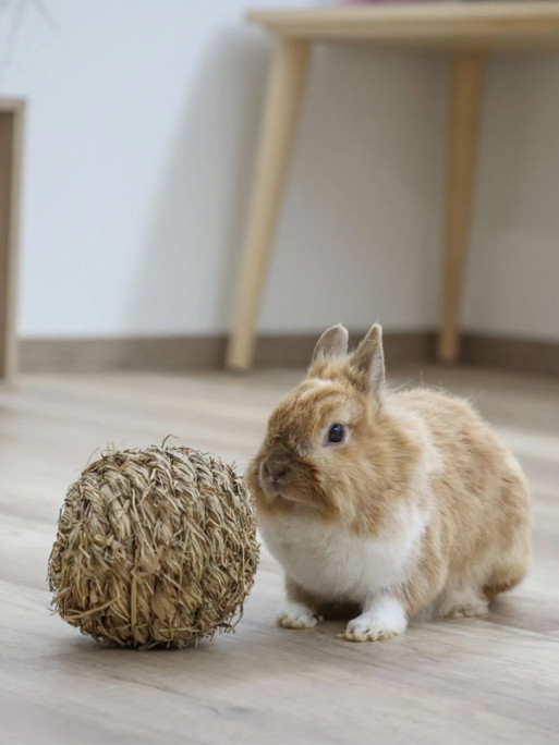 Balle comestible en herbe pour rongeur Kerbl
