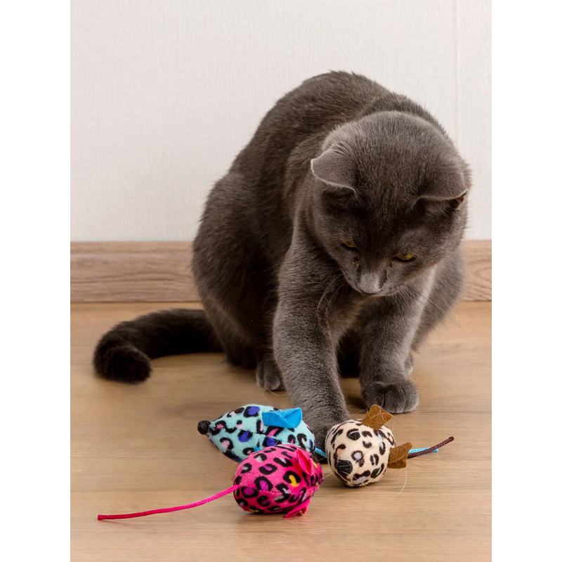 Souris Display 6.5cm Kerbl