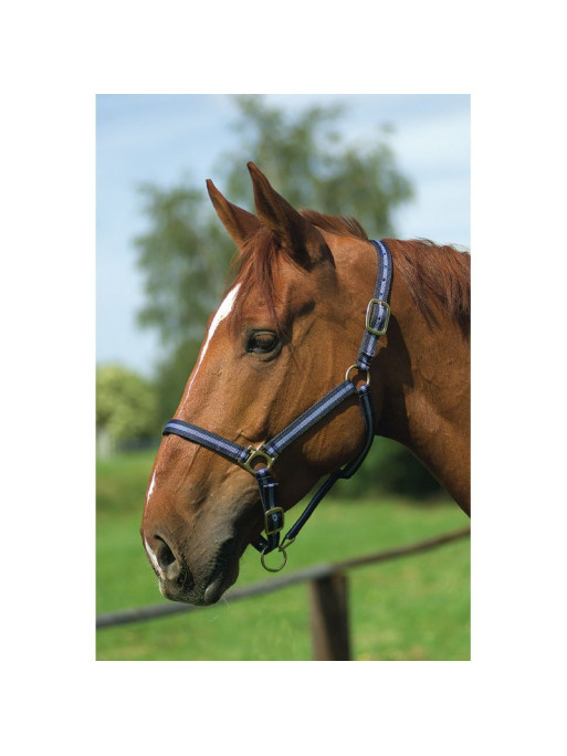 Licol nylon doublé cuir