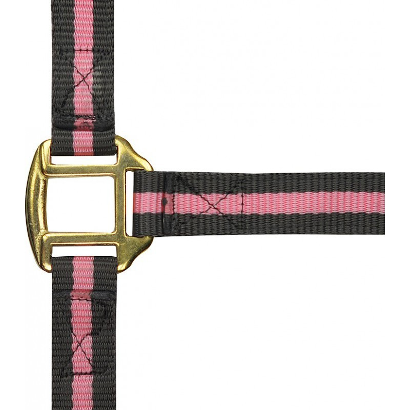 Licol nylon doublé cuir