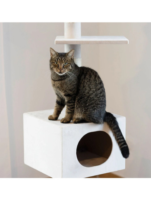 Arbre à chat Ferdi 240 à 260cm Kerbl