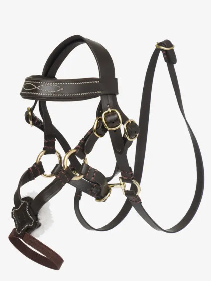 Bridon à muserolle croisée Toy Pony LeMieux