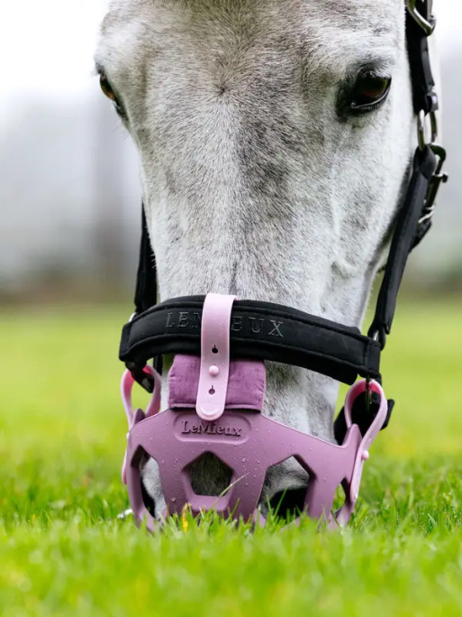 Muselière de pâturage LeMieux