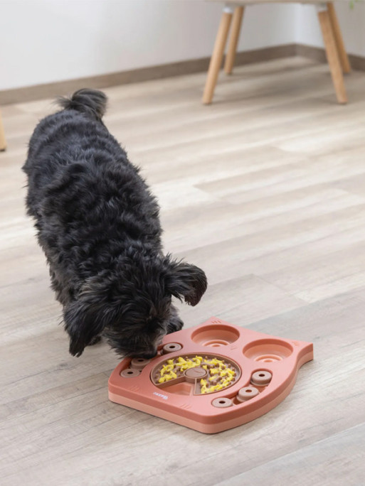 Jeu de réflexion et apprentissage Kerbl