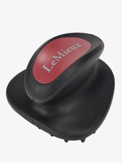 Brosse de massage LeMieux