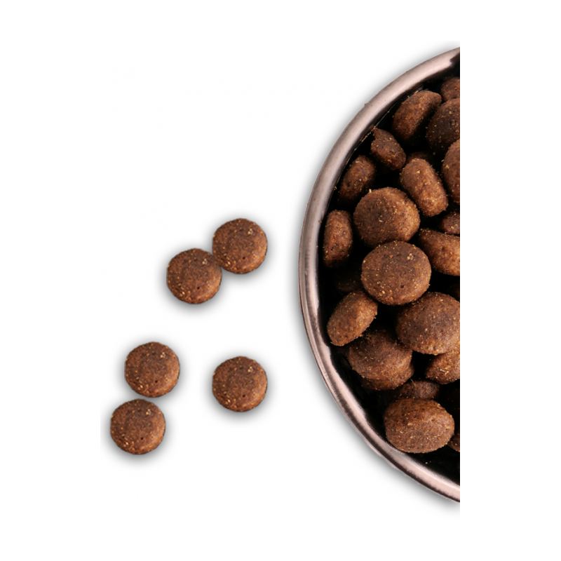 Croquettes Performance 26/16 Agneau Nature Dog 15kg
