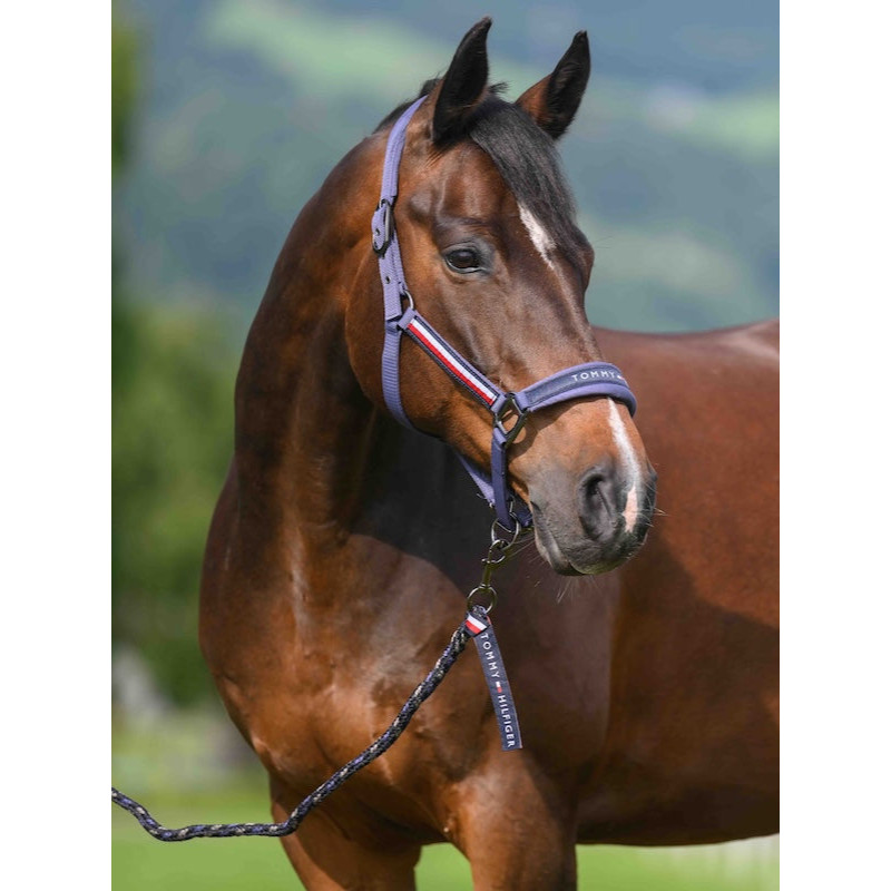 Licol + longe Yale SS26 Tommy Hilfiger Equestrian