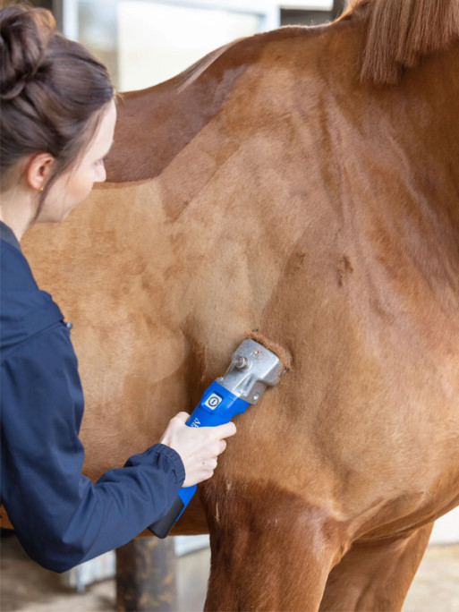 Tondeuse sur batterie Econom CL Aesculap