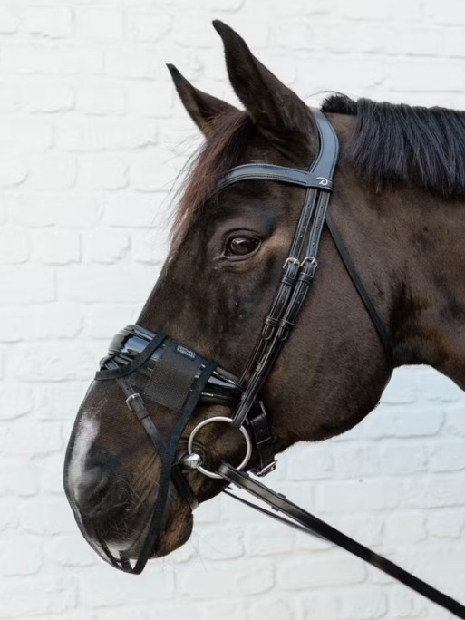 Masque nez anti mouches Kentucky