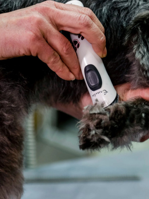 Tondeuse sur batterie Exacta Aesculap