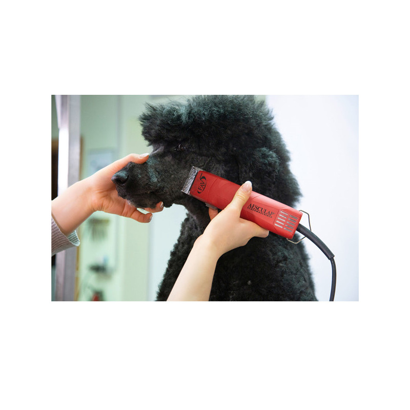 Tondeuse sur secteur SnapOn Fav5 Aesculap