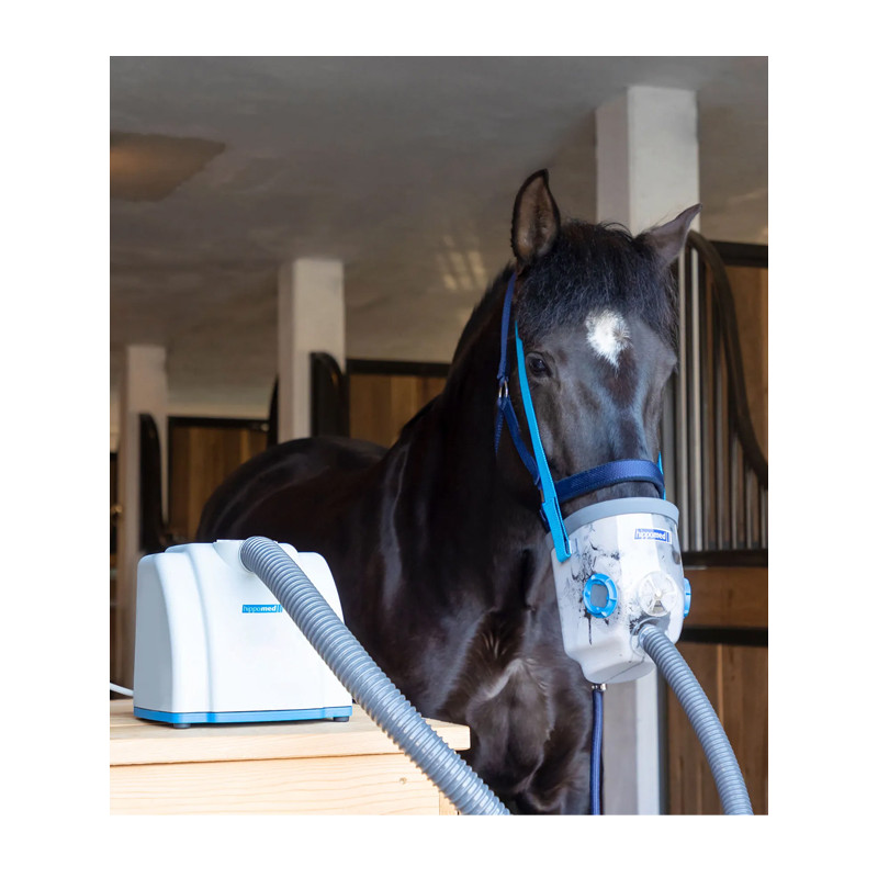Inhalateur complet à ultrasons pour chevaux AirOne