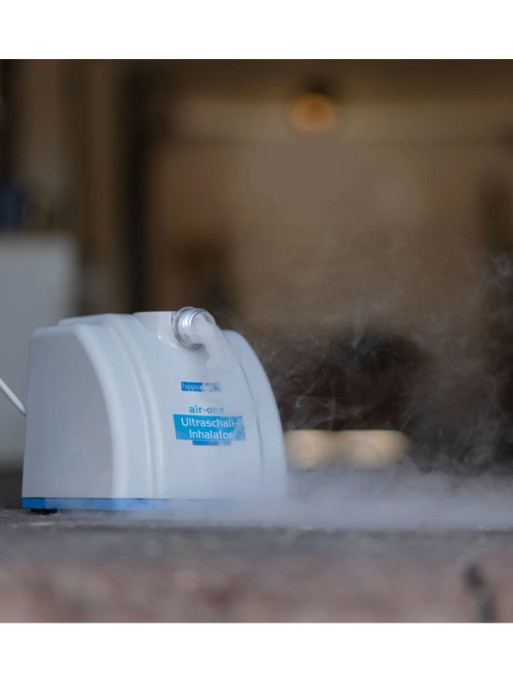 Inhalateur complet à ultrasons pour chevaux AirOne