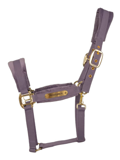 Licol Velvet Kentucky