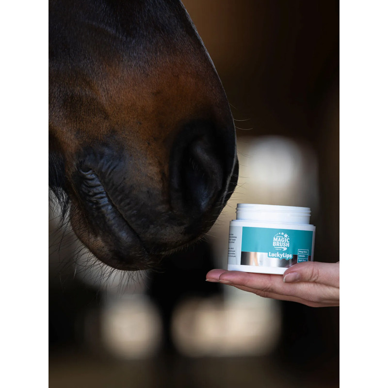 Baume commisures des lèvres Lucky Lips 150ml Magic Brush