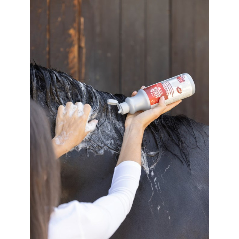 Shampoing FrenchKiss 500ml MagicBrush