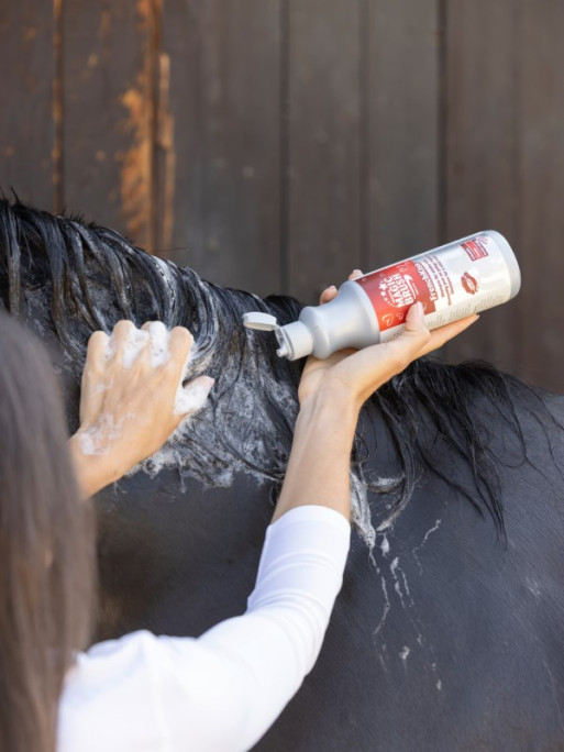 Shampoing FrenchKiss 500ml MagicBrush