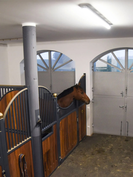 Caméra IPCam 360 FHD Kerbl