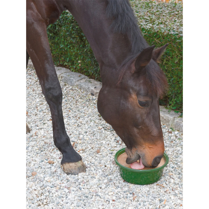 Pierre à lécher bronchial 6kg Delizia