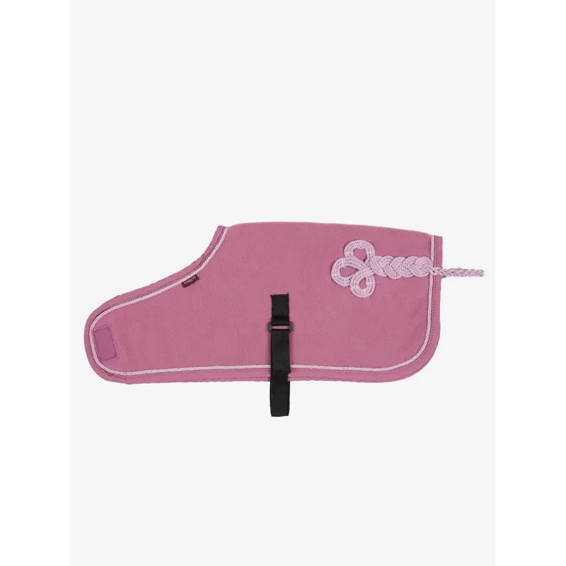 Couverture Toy Pony Lemieux