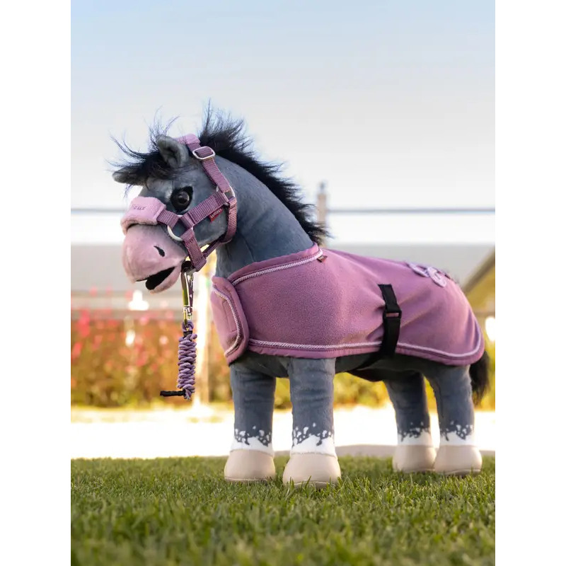 Couverture Toy Pony Lemieux