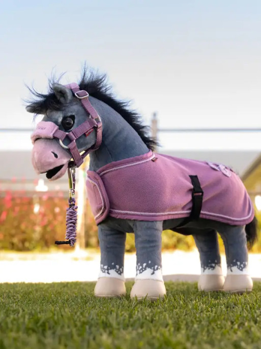 Couverture Toy Pony Lemieux