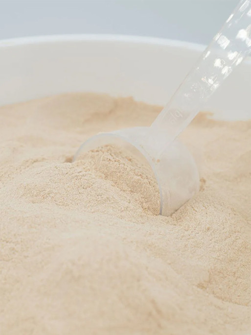 Vitamine VitaC Protégée 12.5kg Reverdy