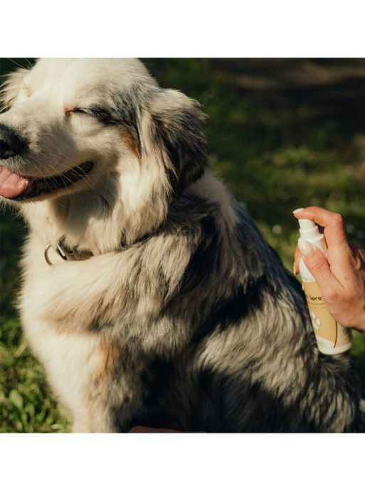 Spray assainissant Cicanat 125ml Nutragile