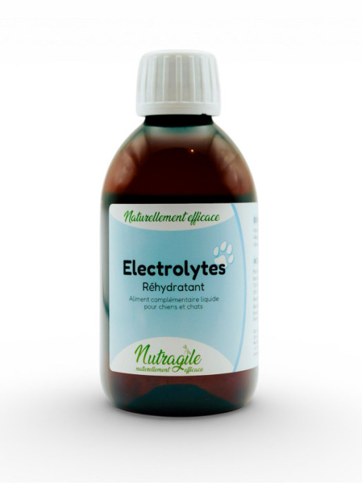 Solution réhydratante Electrolytes 250ml Nutragile