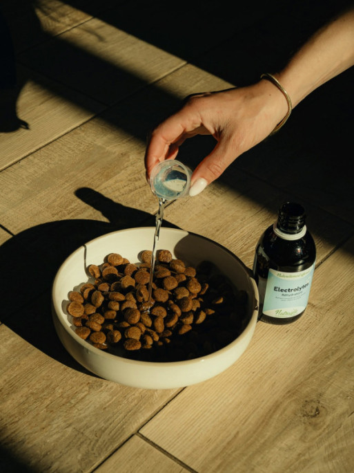 Solution réhydratante Electrolytes 250ml Nutragile